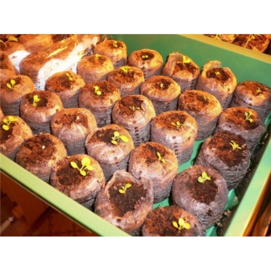 10 أقراص البيتموس المضغوط ( Jiffy Peat Pellets ) 10 أقراص البيتموس المضغوط ( Jiffy Peat Pellets )