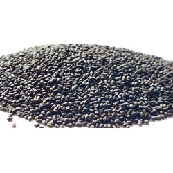 بذور الريحان الإيطالي - الريحان الحلو - Italian basil بذور الريحان الإيطالي - الريحان الحلو - Italian basil